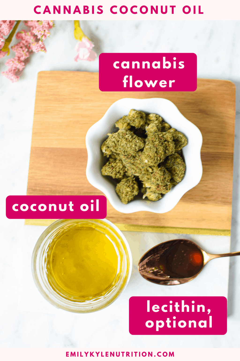 Easy Cannabis Coconut Oil Recipe Emily Kyle MS RDN