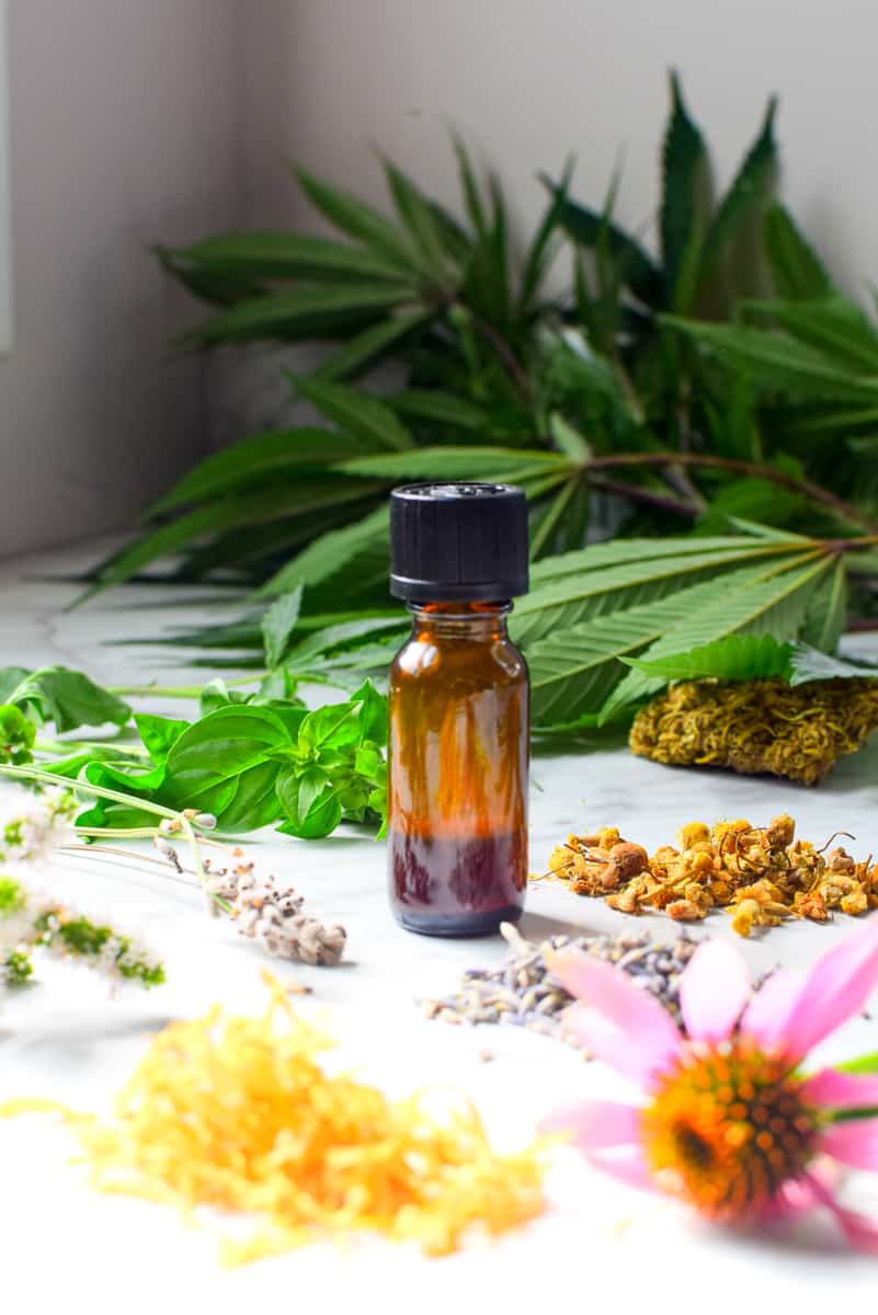 A picture of a tincture bottle and herbs