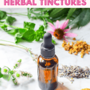 A picture of a tincture bottle and herbs with a title that says Beginner’s Guide to Herbal Tinctures.