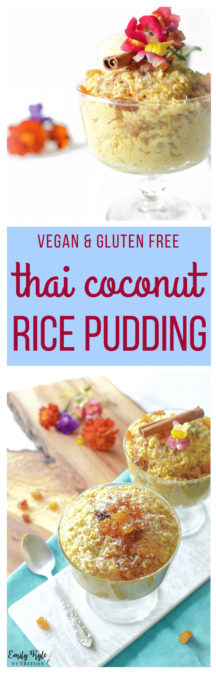 Enjoy this Thai Coconut Vegan Rice Pudding that is naturally gluten-free and easily made in the rice cooker for a quick and easy treat the whole family will love!