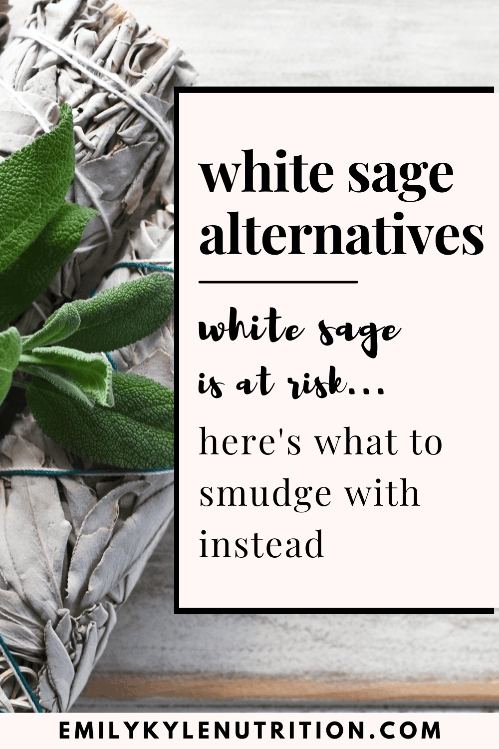 A picture of sage with text that offers white sage alternatives.