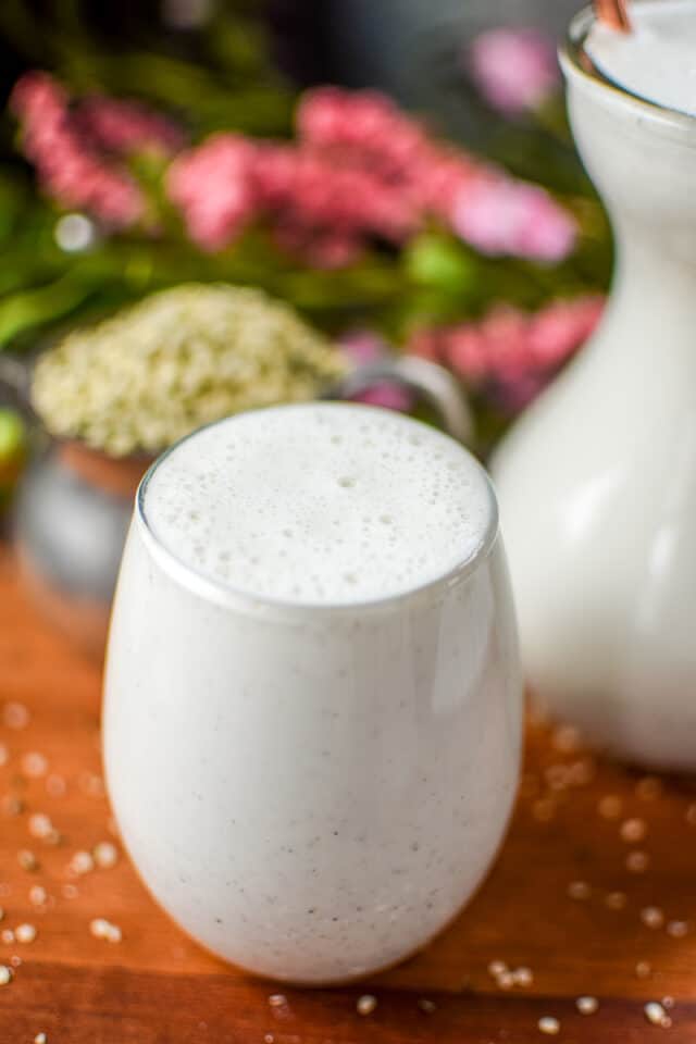 Easy Homemade Hemp Seed Milk » Emily Kyle, MS, RDN