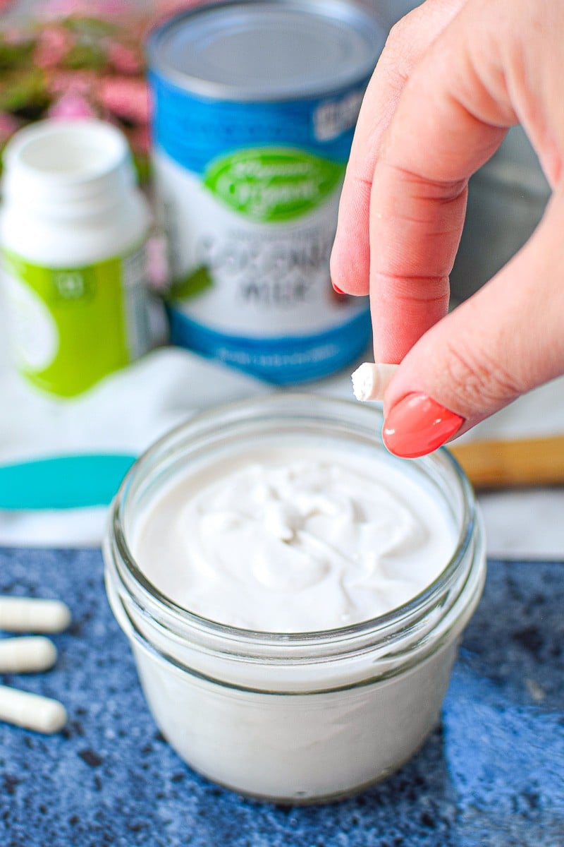 Homemade Non-Dairy Coconut Milk Yogurt » Emily Kyle Nutrition