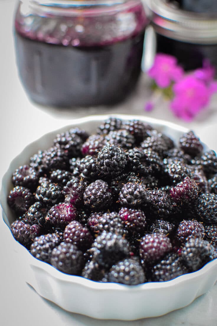 Wild Blackberry or Black Raspberry Jam » Emily Kyle, MS, RDN