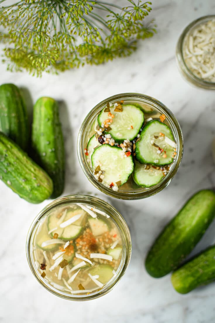 Horseradish Pickles, Quick Refrigerator Style » Emily Kyle, MS, RDN