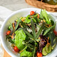 Healthy Eating and Cannabis Consumption