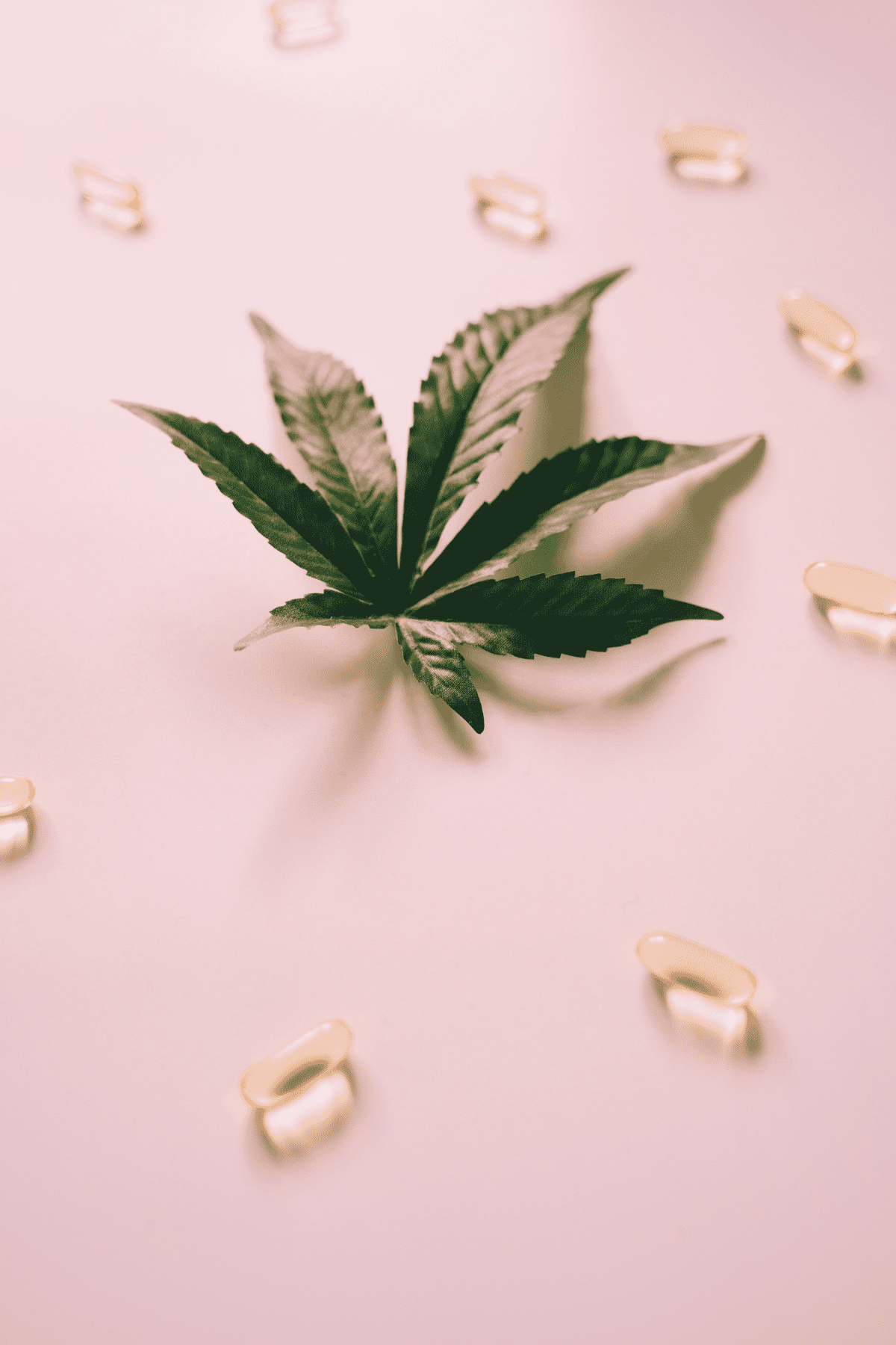 A picture of a cannabis leaf and capsule on a pink background.