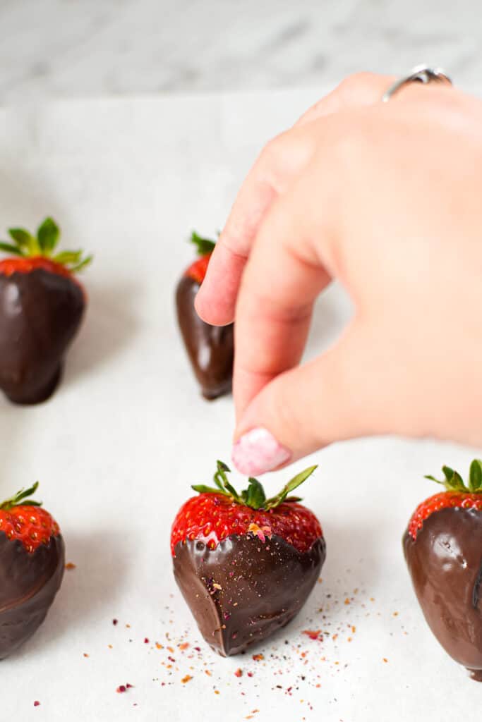 Chocolate Covered Strawberries - Dinner at the Zoo