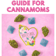 A picture of cannabis gifts with text that says the best cannabis gift guide for cannamonms.