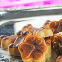 CBD Dog Treat Recipe