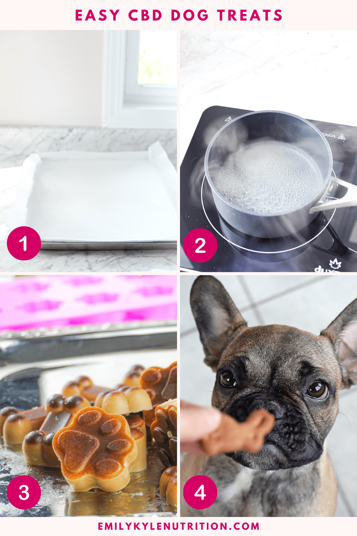 A four step image collage showing how to make a CBD dog treat recipe.