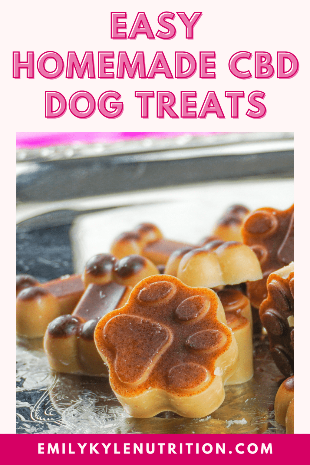 3Ingredient CBD Dog Treats » Emily Kyle, MS, RDN