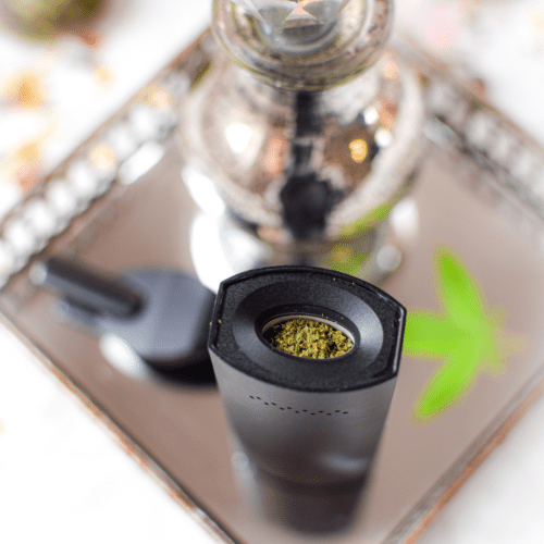 A picture of a dry herb vaporizer packed with cannabis.
