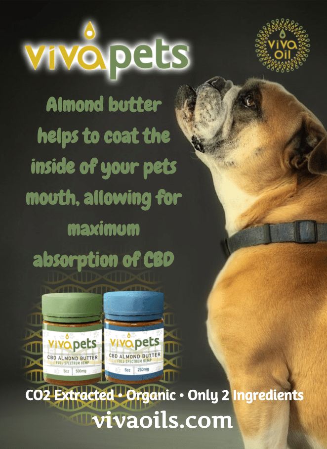 CBD Oil for Dogs