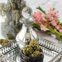 CBD Hemp Flower Emily Kyle