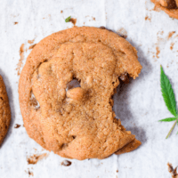 Simple, Delicious Cannabis Chocolate Chip Cookies