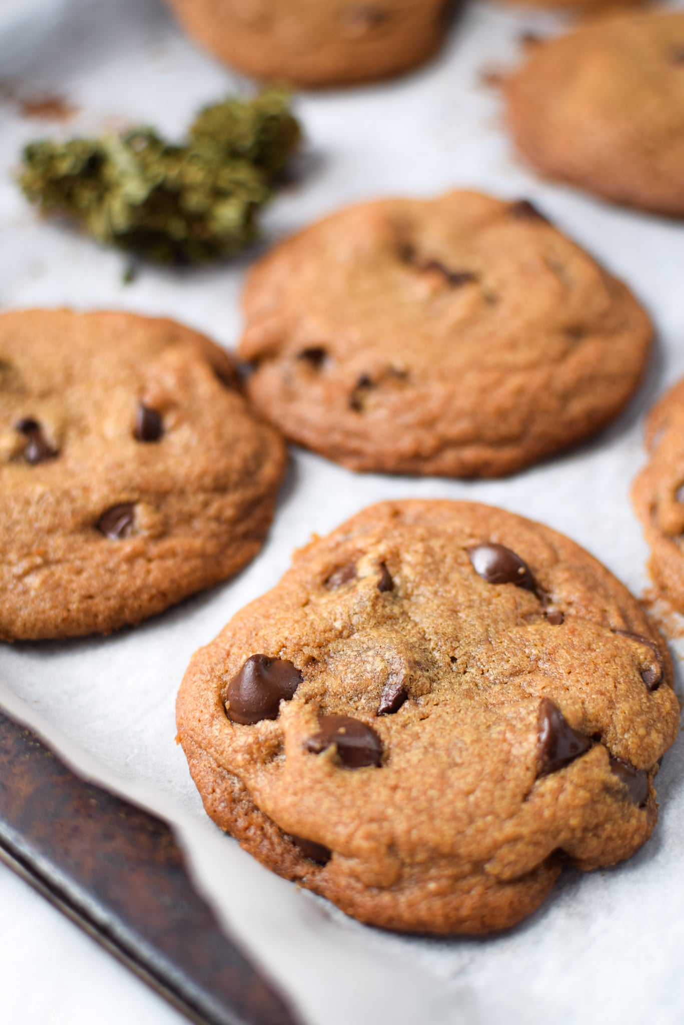 canna butter chocolate chip cookies