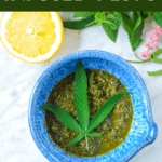Cannabis Pesto