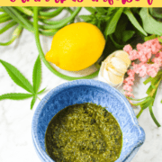 A picture of homemade cannabis pesto with text that says homemade pesto cannabis-infused.