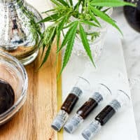 How to Make Full Extract Cannabis Oil (FECO)