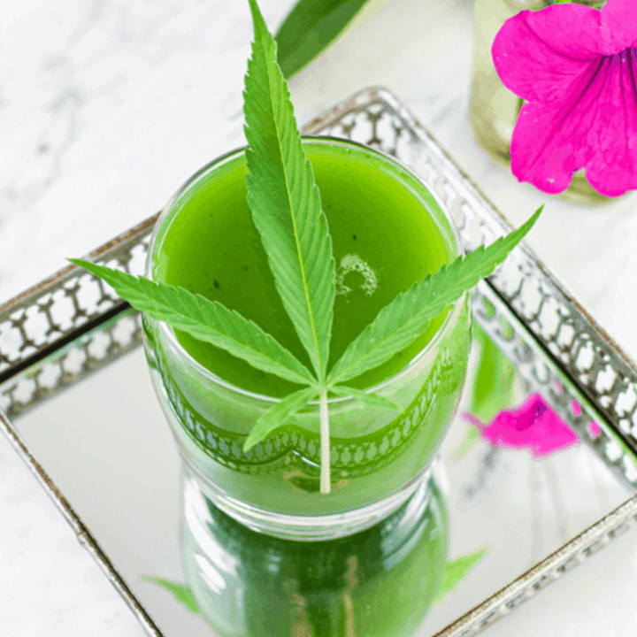 Raw Cannabis Juice