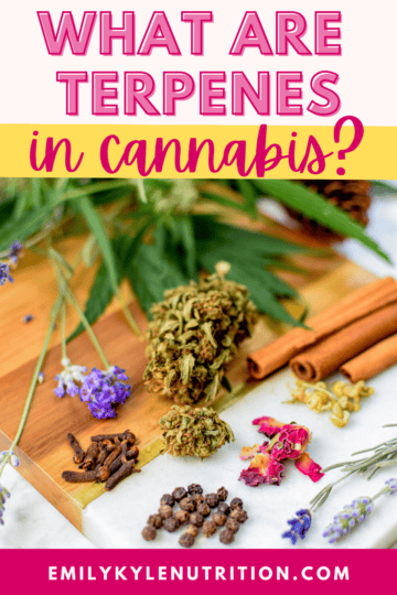 A Beginner's Guide to Cannabis Terpenes » Emily Kyle, MS, RDN