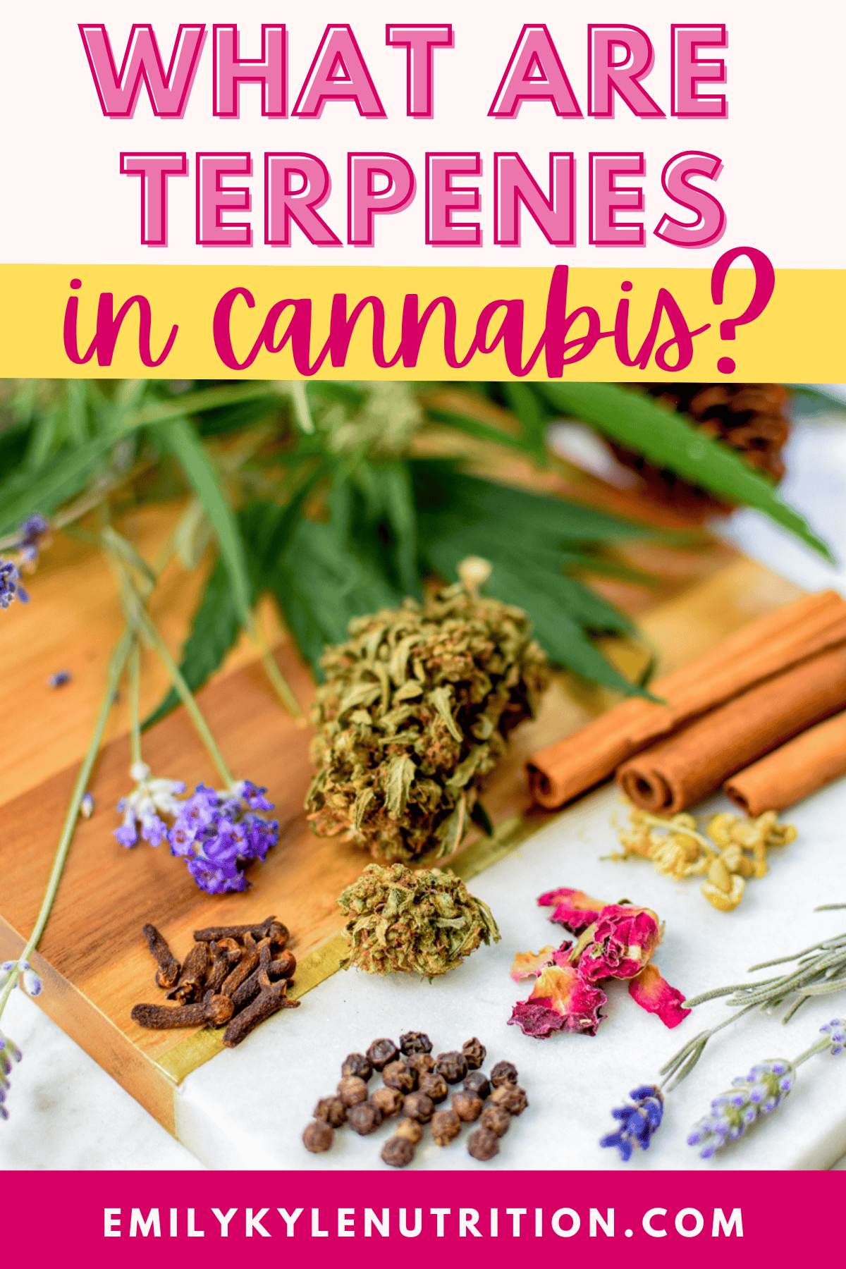 A picture of different herbs with text that says what are terpenes in cannabis?