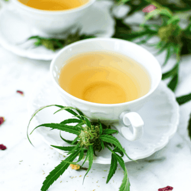 A white teacup full of cannabis tea with a cannabis plant