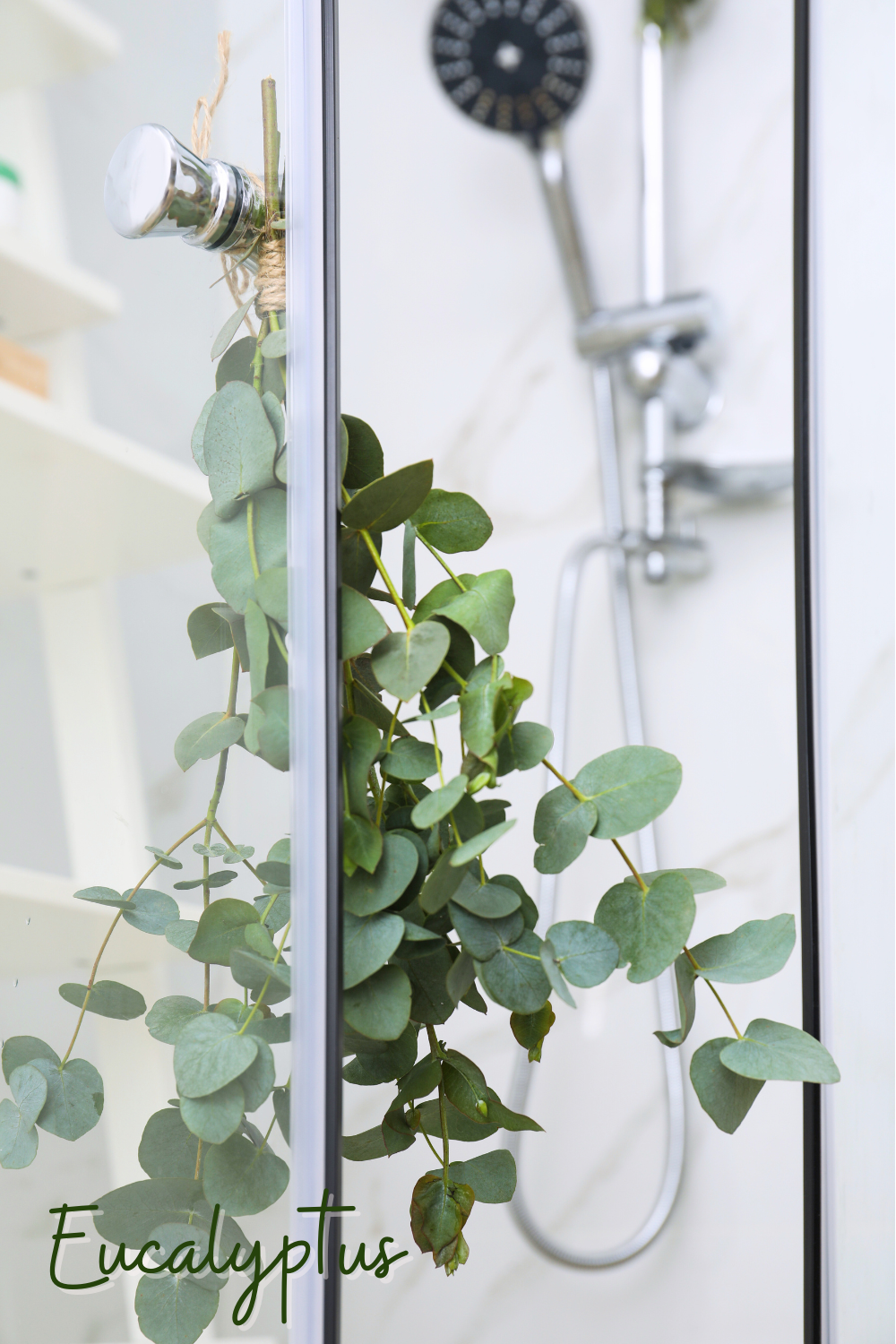 A picture of a eucalyptus plant hanging in a shower.