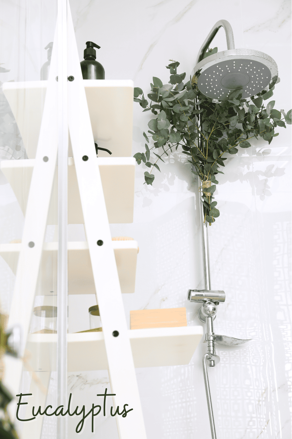 A picture of a eucalyptus plant hanging in a shower.