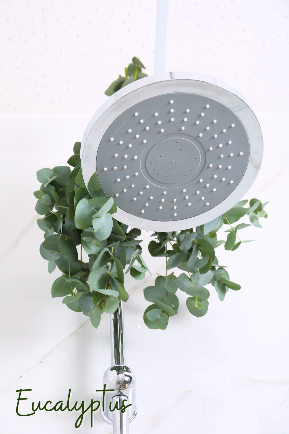 A picture of a eucalyptus plant hanging in a shower.