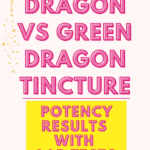 Golden Dragon vs Green Dragon