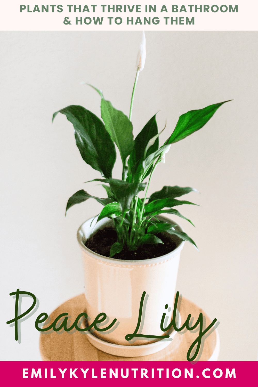 A picture of a peace lily in a bathroom.