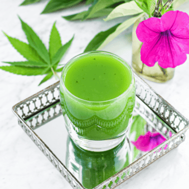 A green cannabis juice in a small glass