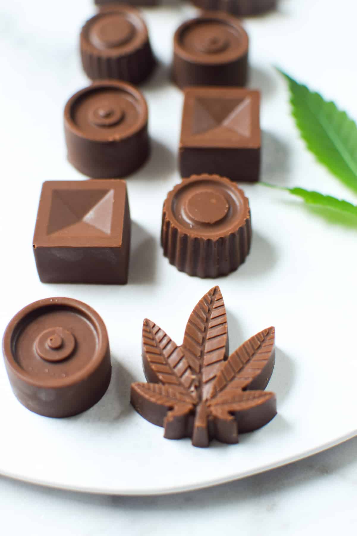 Finished image of molded cannabis infused chocolates