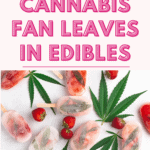 How to Use Cannabis Fan Leaves in Edibles