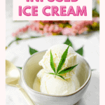 Finished image of homemade vanilla cannabis ice cream in a grey bowl with a small cannabis fan leaf garnish