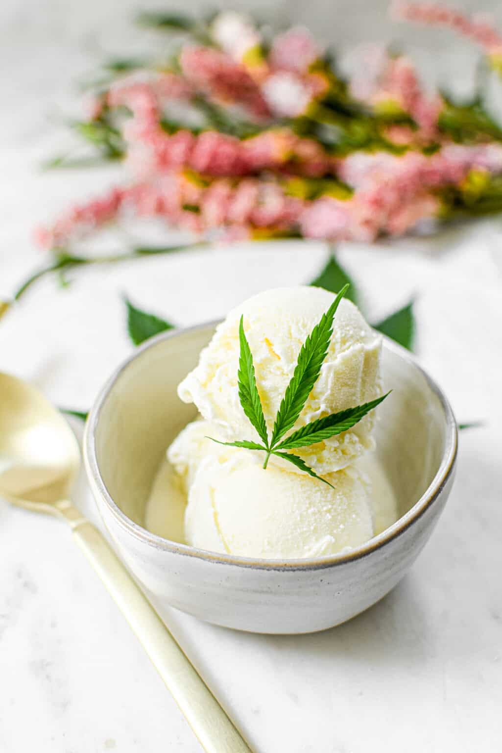 Creamy Cannabis Vanilla Ice Cream » Emily Kyle, MS, RDN