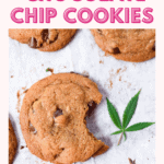 A picture of a cannabis chocolate chip cookie with a bite taken out, garnished with a cannabis leaf