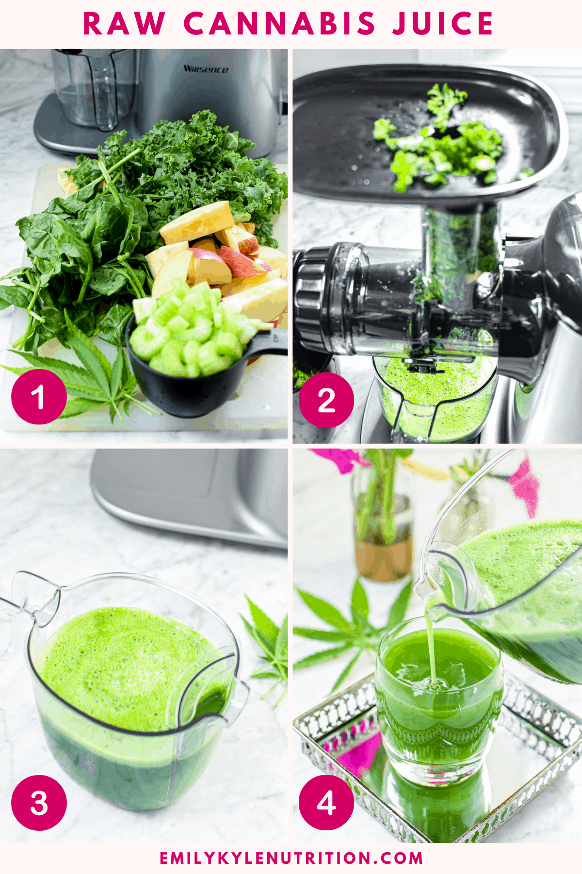 Step by step instructional guide with 4 photos showing the steps to making raw cannabis juice