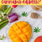 A picture of a mango with text that says can mango enhance the effect of cannabis edibles.