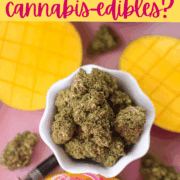 A picture of a mango with text that says can mango enhance the effect of cannabis edibles.