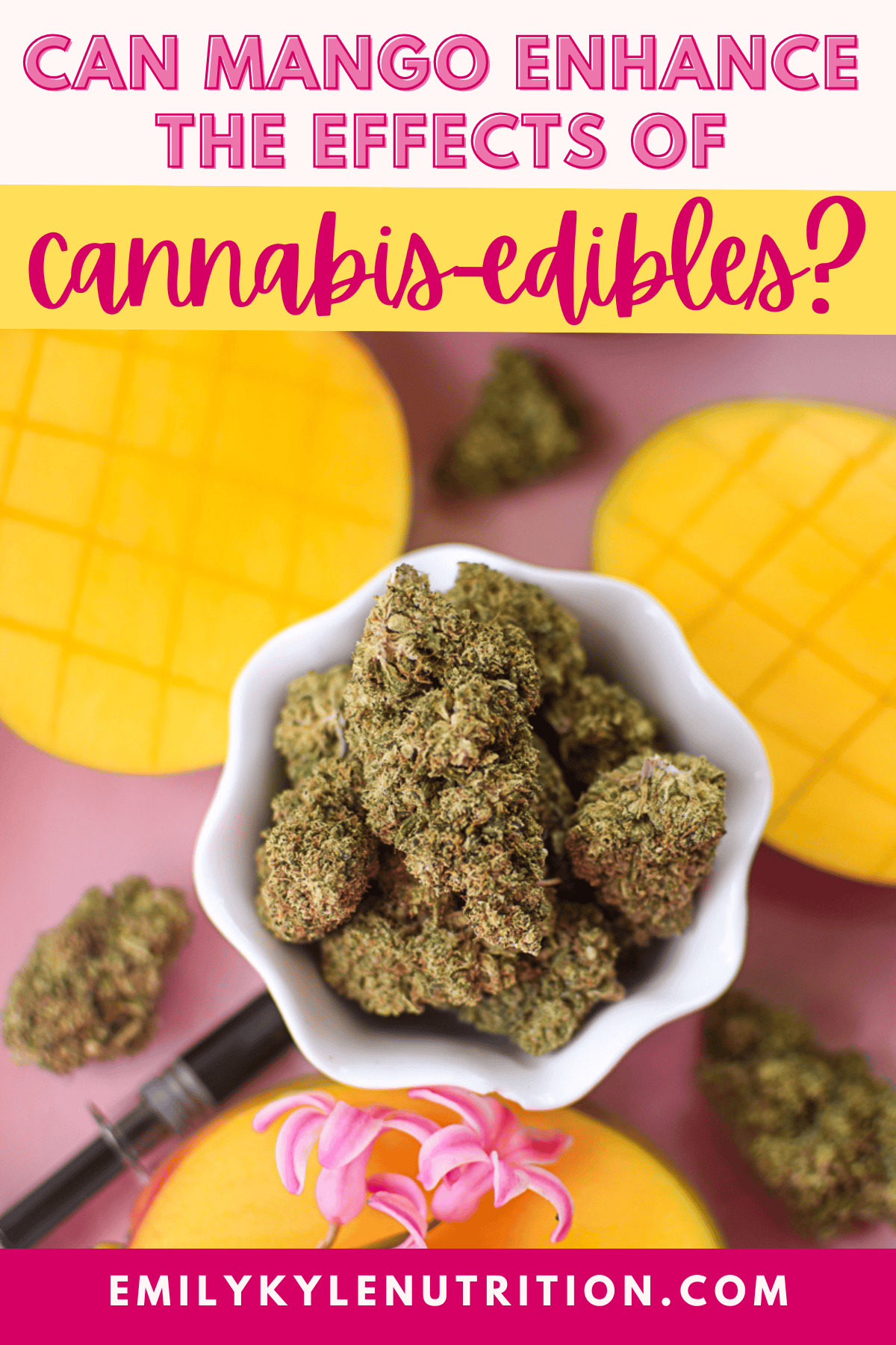 A picture of a mango with text that says can mango enhance the effect of cannabis edibles.