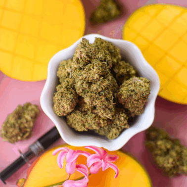 A picture of a mango and cannabis flower on a pink countertop.