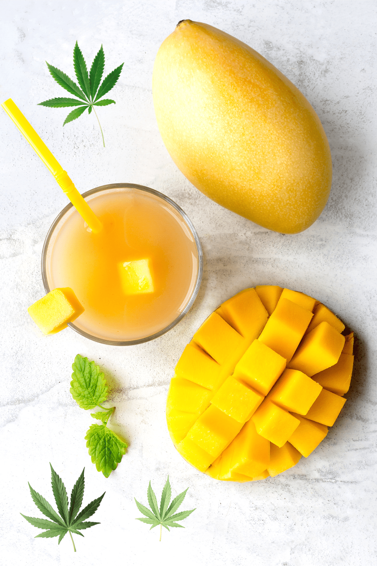 A white background with green tropical leaves topped with cut mango and cannabis leaves