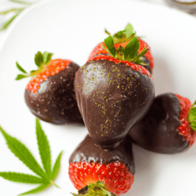 A white plate topped with five cannabis chocolate covered strawberries with a fresh cannabis leaf