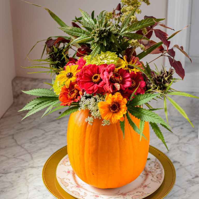 How To Make A Cannabis-Inspired Fall Centerpiece » Emily Kyle, MS, RDN