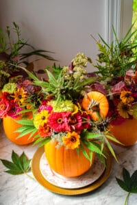 How To Make A Cannabis Fall Centerpiece » Emily Kyle, RD