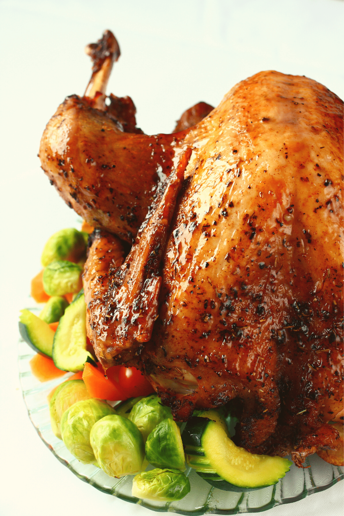 A roast turkey