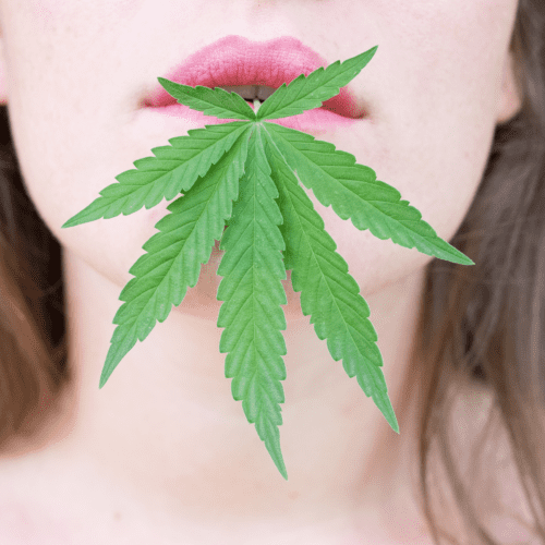 A picture of a woman with a cannabis leaf in her mouth.